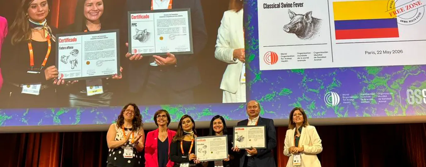 Certificado Fiebre Aftosa