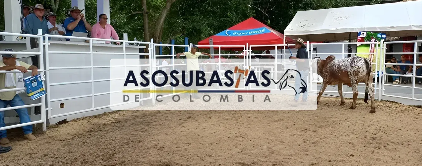 Asosubastas