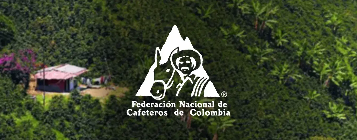 Producción de café en abril cae y alivios para cafeteros por El Niño