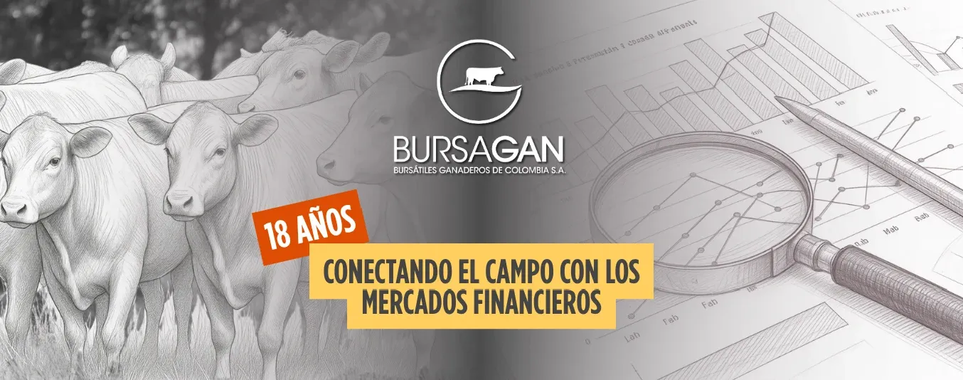 Historia de Bursagan