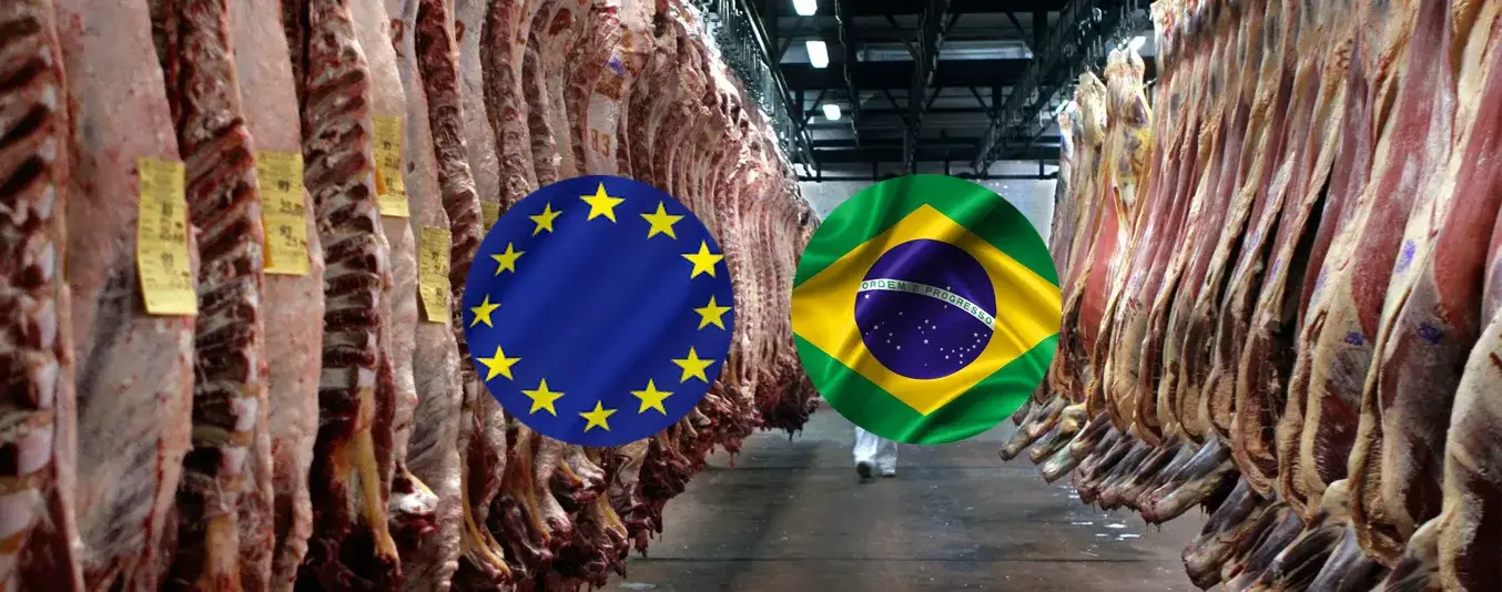 La Unión Europea prohíbe la carne de Brasil