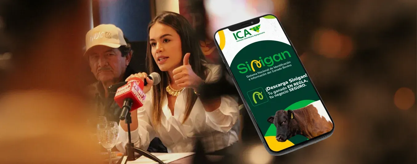 ICA está listo para el Sinigán V6