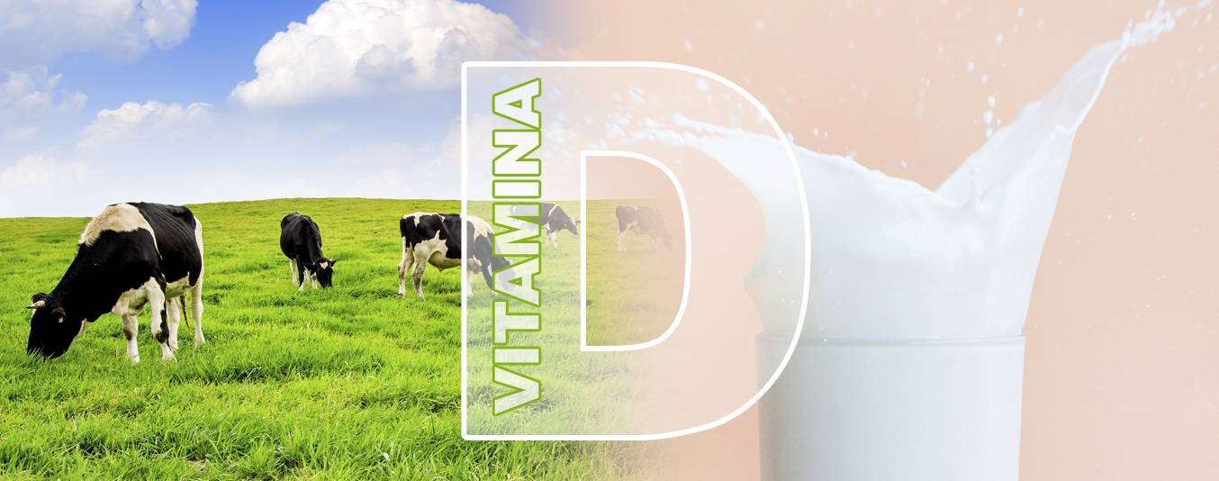 leche-enriquecida-vitamina-d