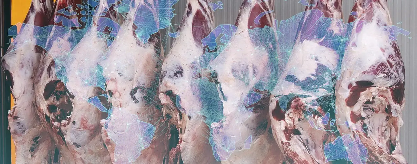 mercado-carne-global