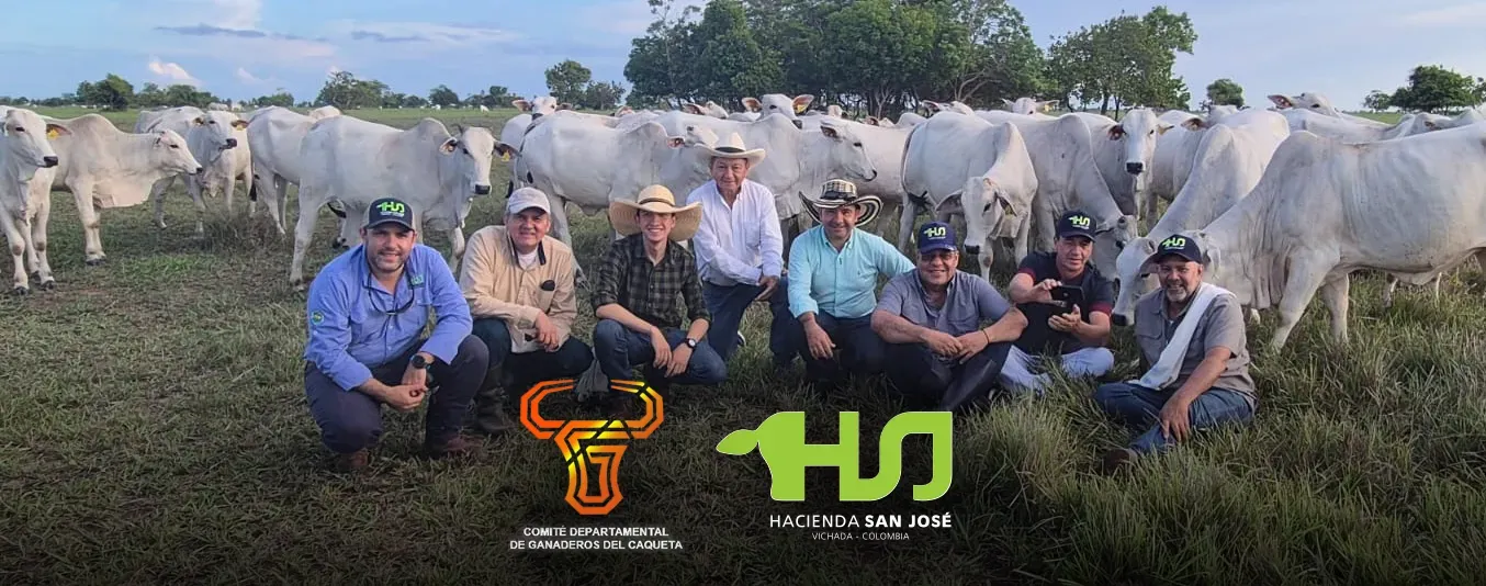 Junta Directiva del Comité Departamental de Ganaderos de Caquetá en Hacienda San José en Vichada