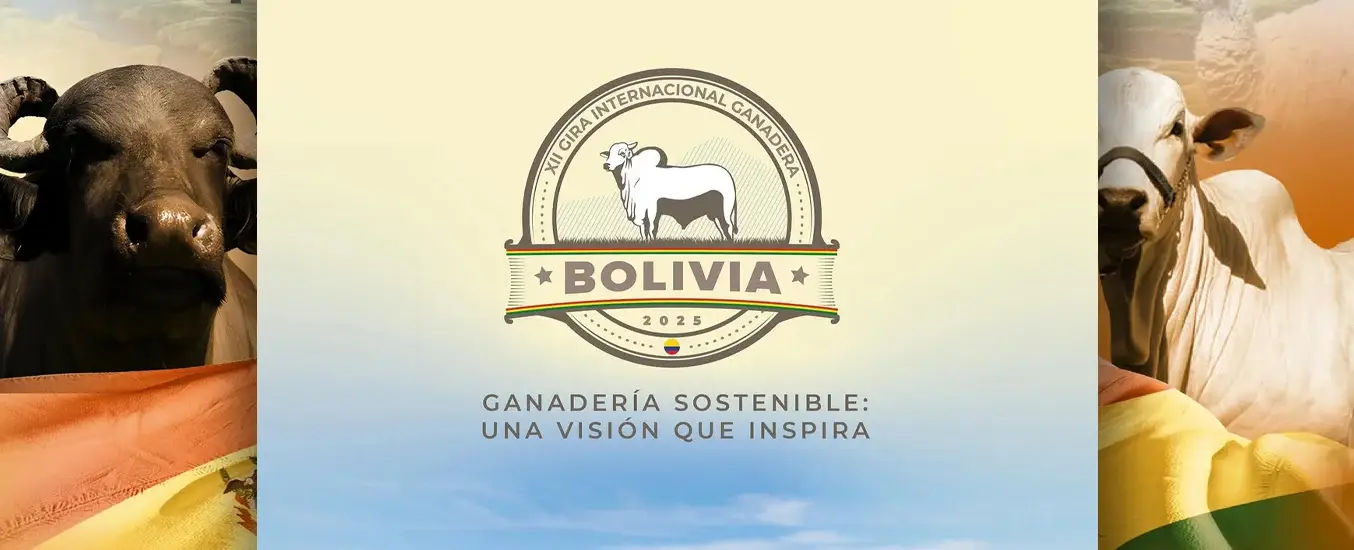 Cuanto cuesta ir a la Gira Bolivia