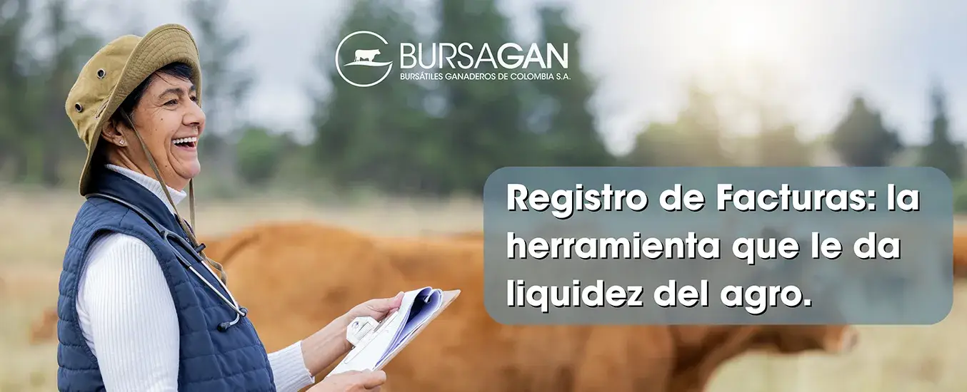 Registro de facturas