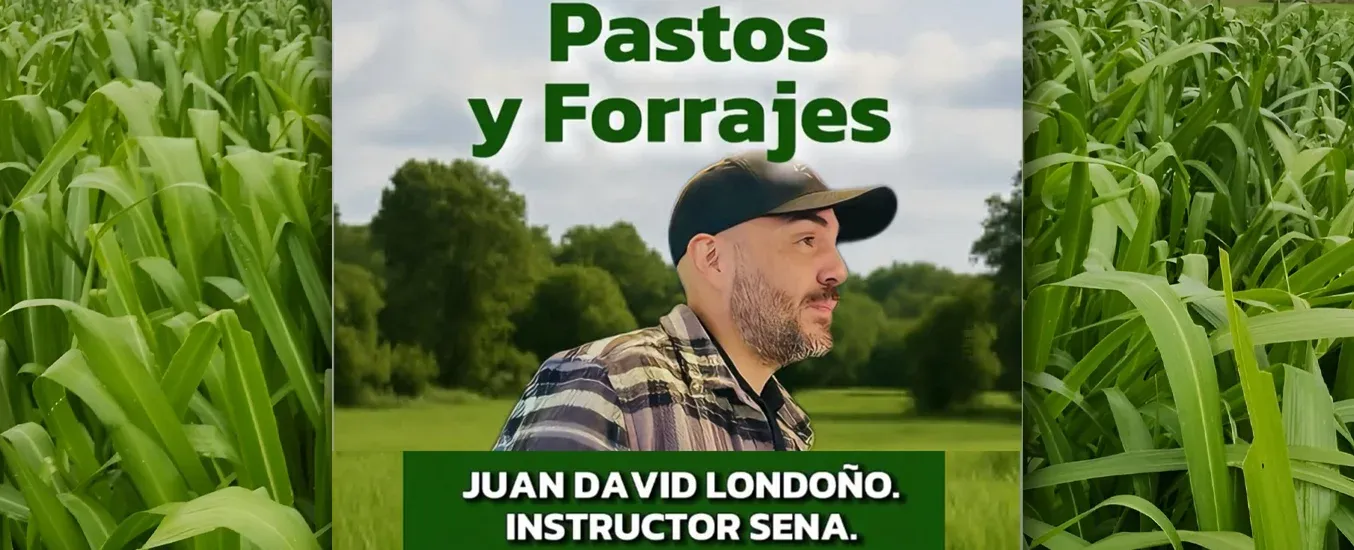 curso certificado de pastos y forrajes