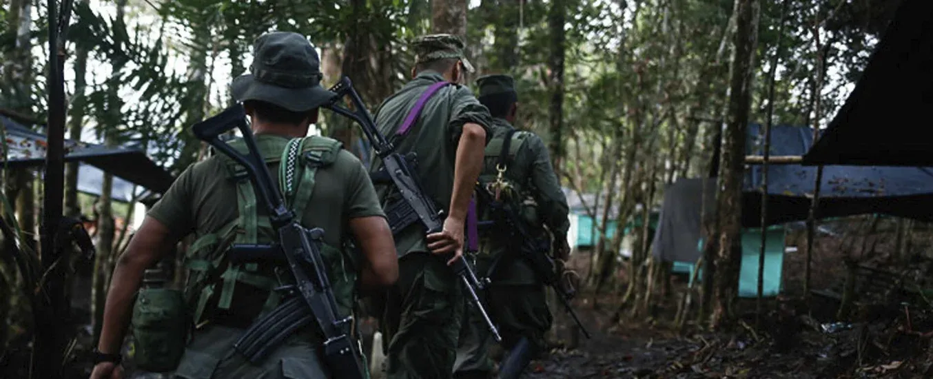 grupos armados ilegales en el Guaviare