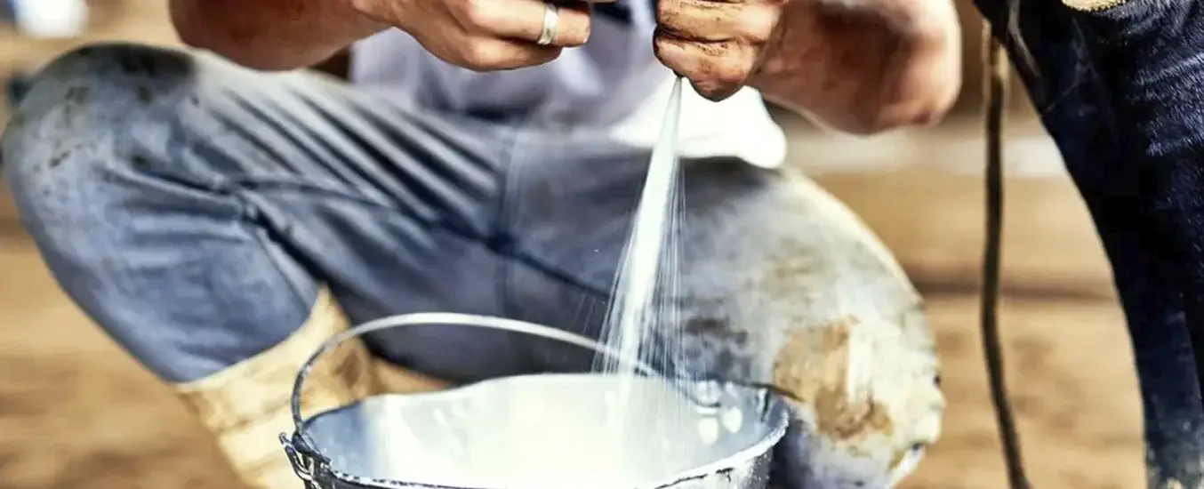 Precio de la leche