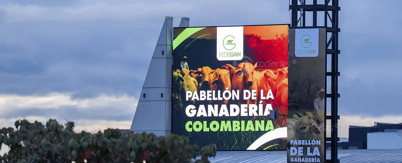 Cifras Agroexpo 2025