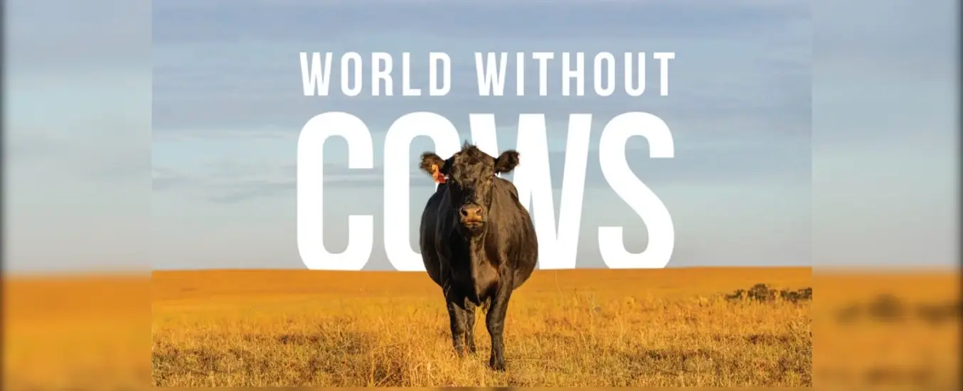A black cow stands in a vast field under a blue sky. Large text reads "World Without Cows."