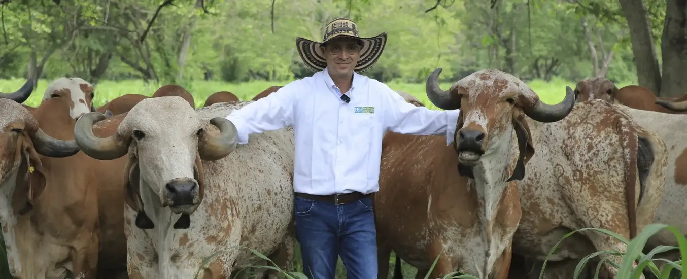 El Consultor Agropecuario