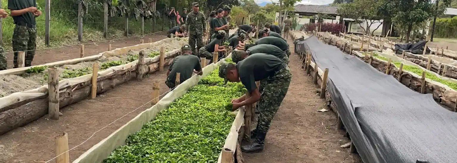 Soldados cultivan plantas en un jardín para reemplazar cultivos de coca