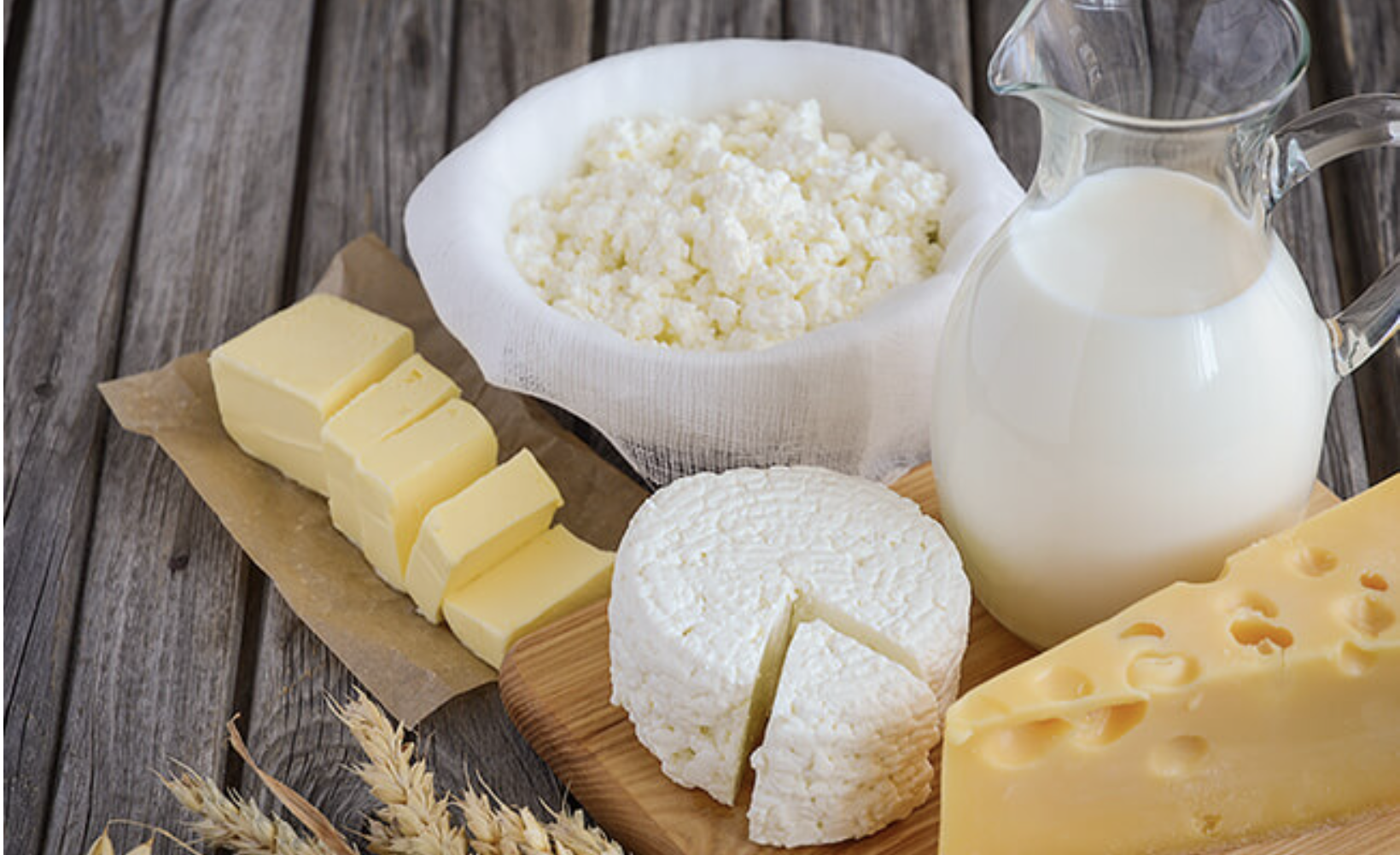 Derivados de la leche