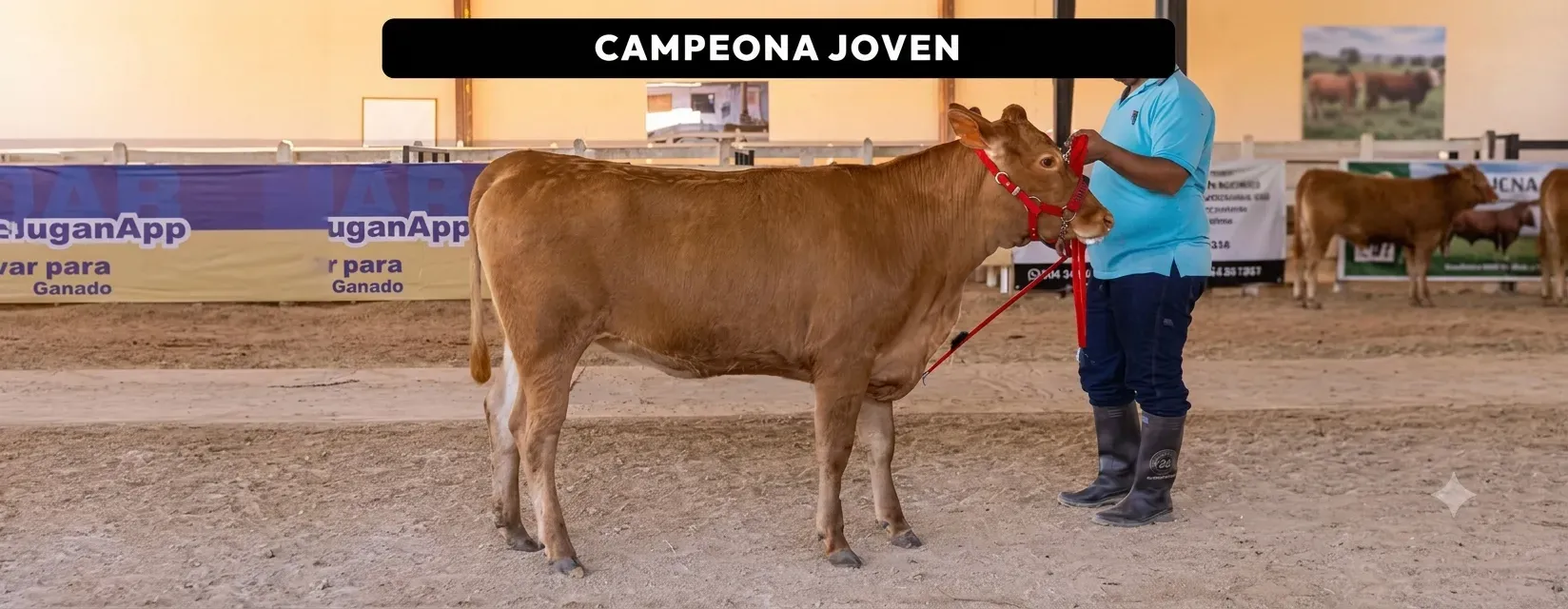 Los ejemplares que van a ferias