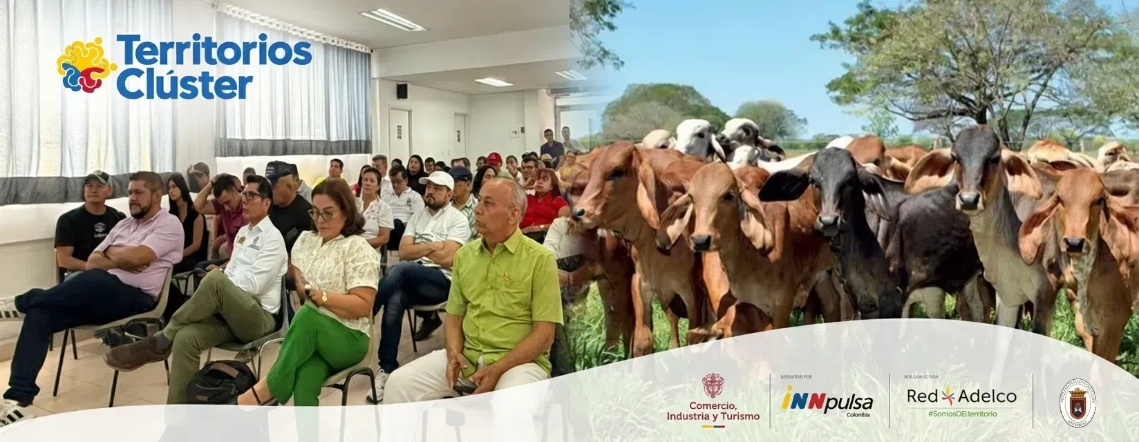 Carne y leche del Norte de Santander