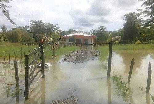 Ganadería, ganadería colombia, noticias ganaderas, noticias ganaderas colombia, CONtexto ganadero, verano bajo sinu, verano municipios bajo sinú, verano en córdoba, llegada de lluvias en bajo sinú, invierno en bajo sinú, recuperación de tierras, recuperación de tierras en bajo sinú, inicio del I ciclo de vacunación, I ciclo de vacunación contra aftosa y brucelosis bovina 2020, dificultades vías, dificultades vias por invierno, ganaderos, Ganaderos bajo Sinú, ganaderos colombia