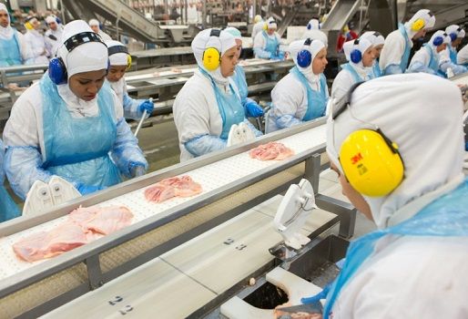 Una planta procesadora de carna aviar trabaja durante una inspección del ministro brasileño de Agricultura. Foto: AFP. carne, mercado carne, carne brasil, exportaciones carne brasil, escándalo carne brasil, contaminación carne brasil, afp, contexto ganadero, ganadería colombia