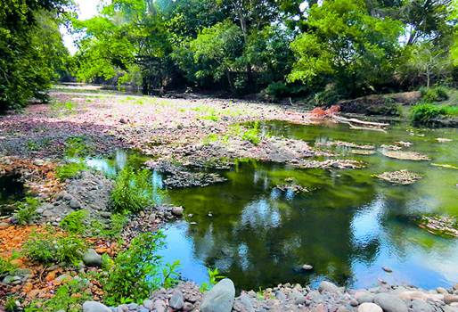 Región Caribe, región Andina, La Guajira, Magdalena, Altiplano cundiboyacense, recomendaciones oferta hídrica, recomendaciones para lluvias esporádicas, segunda temporada invernal 2016 Colombia, planes para mitigar efectos de cambio climático 2016, afectaciones Colombia fenómeno de el niño, Fenómeno de El Niño Colombia, cómo aprovechar poca agua en ganadería, lluvias septiembre diciembre 2016, CONtexto ganadero, ganaderos Colombia