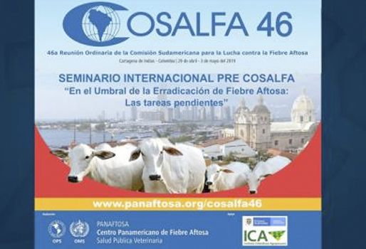 Luego del evento académico, se dará inicio a la Cosalfa 46 los días 2 y 3 de mayo en Cartagena. Foto: Zona Cero Seminario En el Umbral de la Erradicación de la Fiebre Aftosa: Las Tareas Pendientes, seminario fiebre aftosa ICA, seminario fiebre aftosa Cartagena, Cosalfa 46, Comisión Sudamericana para la Lucha contra la Fiebre Aftosa, Cosalfa, fiebre aftosa Colombia, estatus fiebre aftosa Colombia, CONtexto ganadero, ganaderos Colombia, noticias ganaderas Colombia