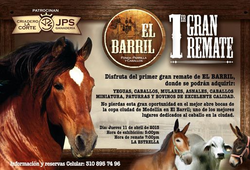 La hora de exhibición inicia a las 5 de la tarde y la hora de remate a las 7 de la noche. Foto: CONtexto ganadero Remate en Antioquia