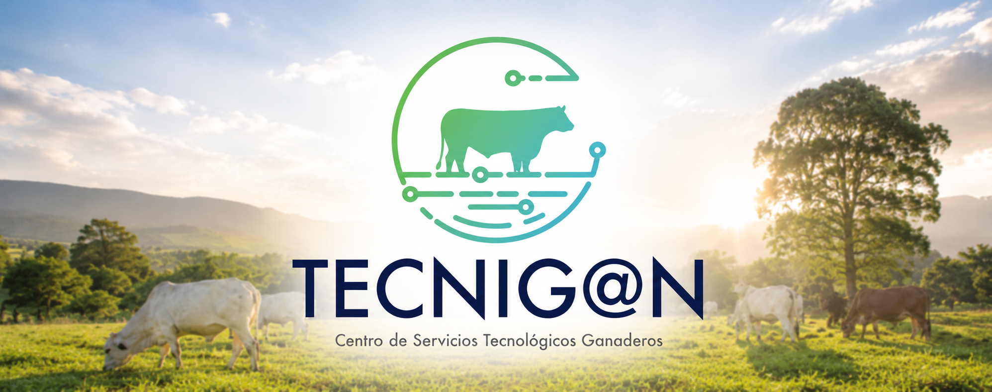 Experiencias en ganadería sostenible en Tolima
