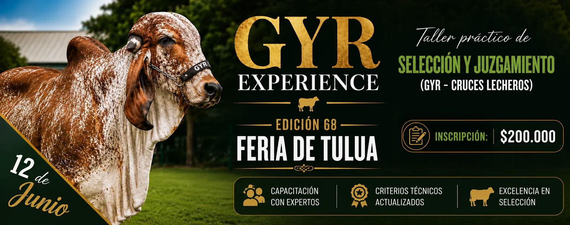 Taller Gyr Experience Feria Tuluá