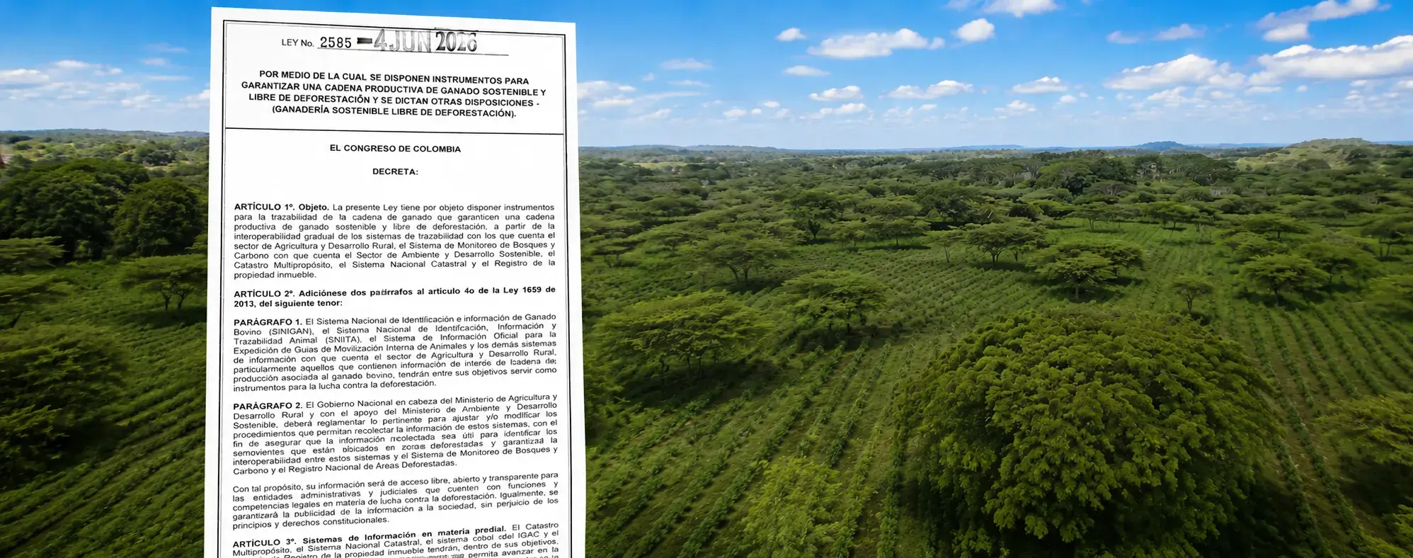 Alcances e implementación de la Ley 2585 de 2026 para la promoción de una cadena productiva ganadera sostenible