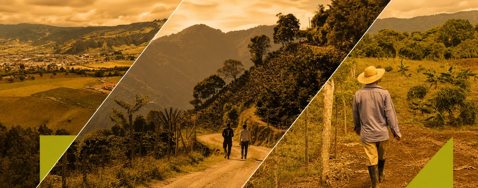 Reforma Rural y acuerdo de tierras (Libro blanco)