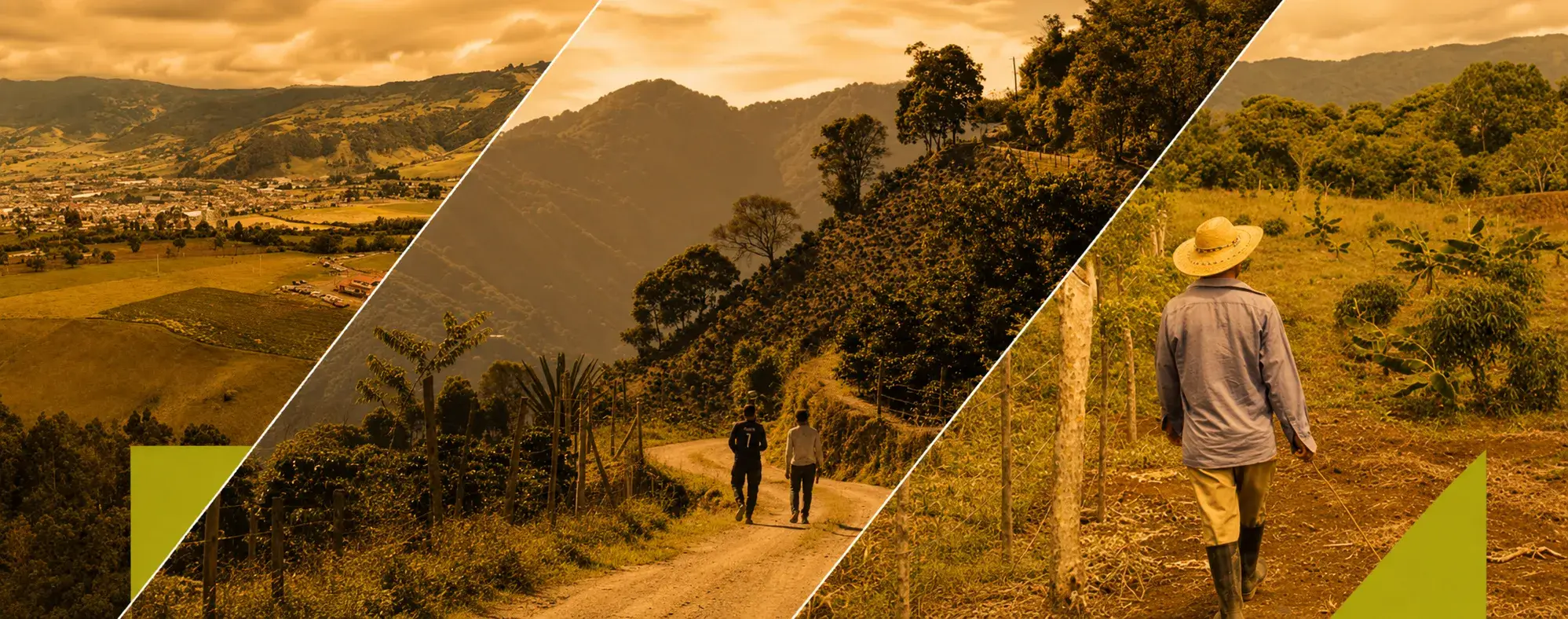 Reforma Rural y acuerdo de tierras (Libro blanco)