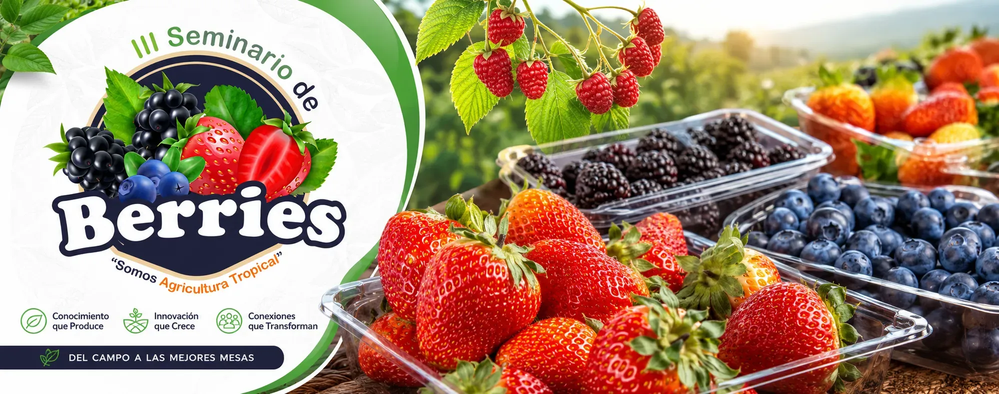 Seminario de Berries