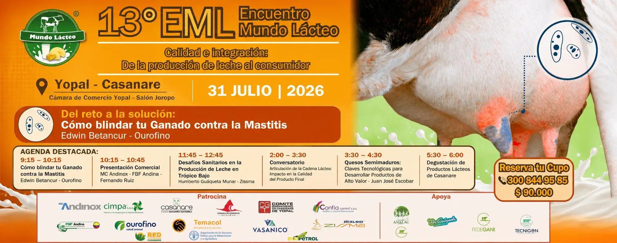 cómo frenar la mastitis