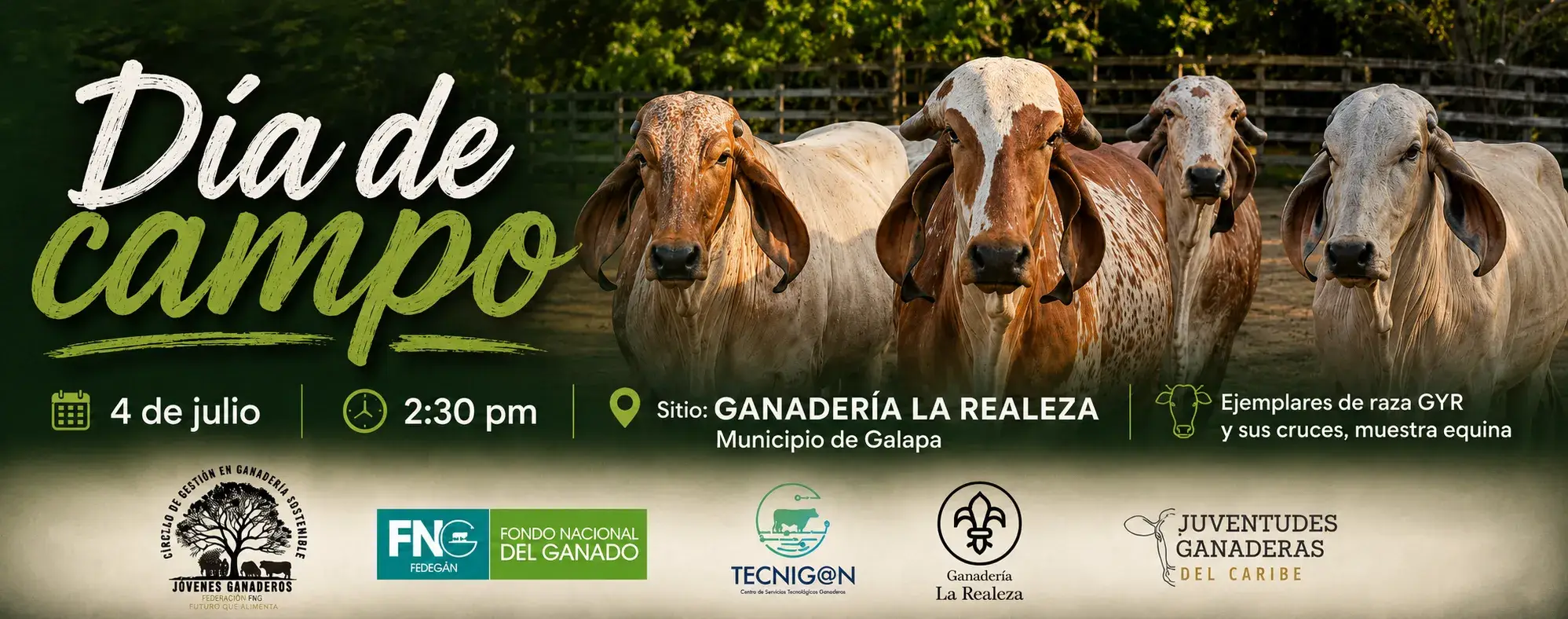 Día de Campo