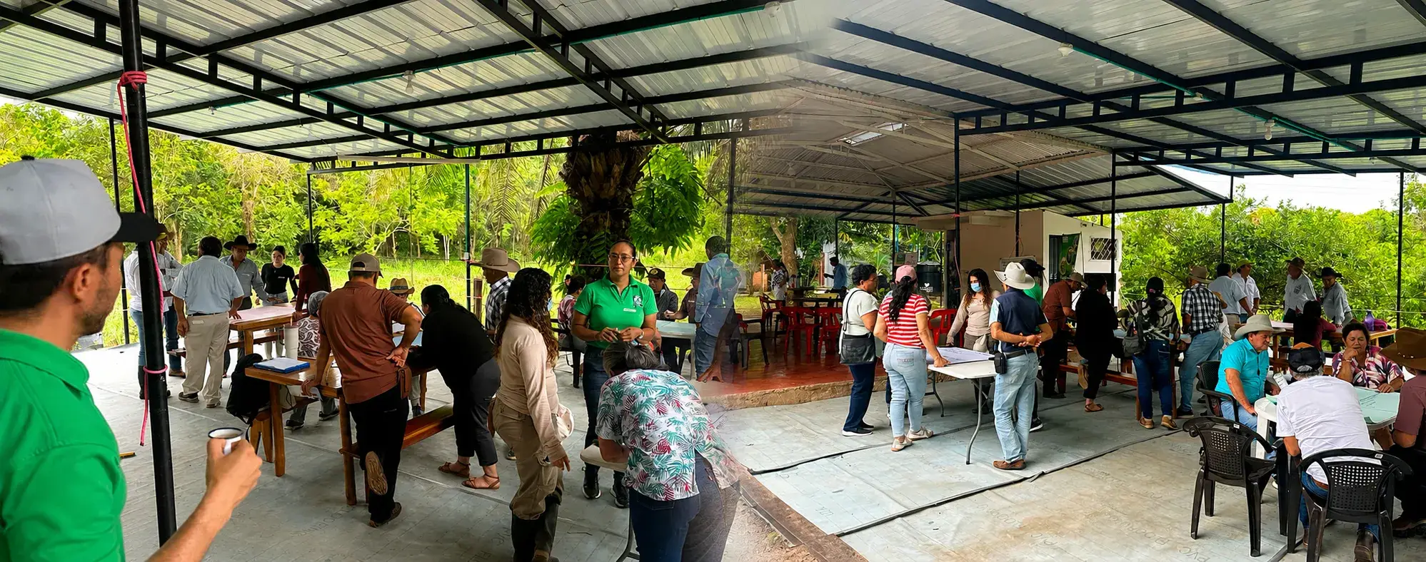 ganaderos de Paz de Ariporo