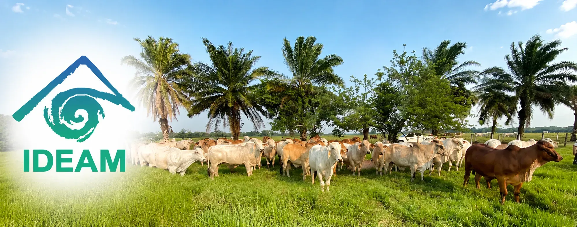 Boletín semanal del sector agropecuario del Ideam