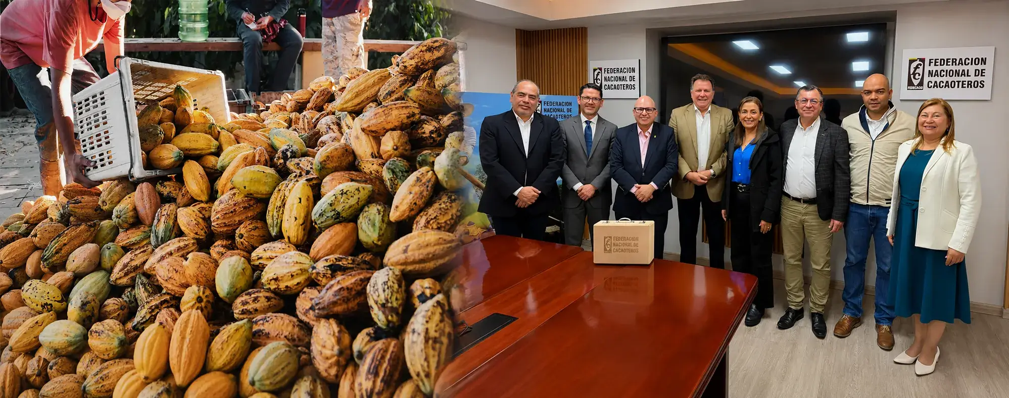 25 mil toneladas de cacao