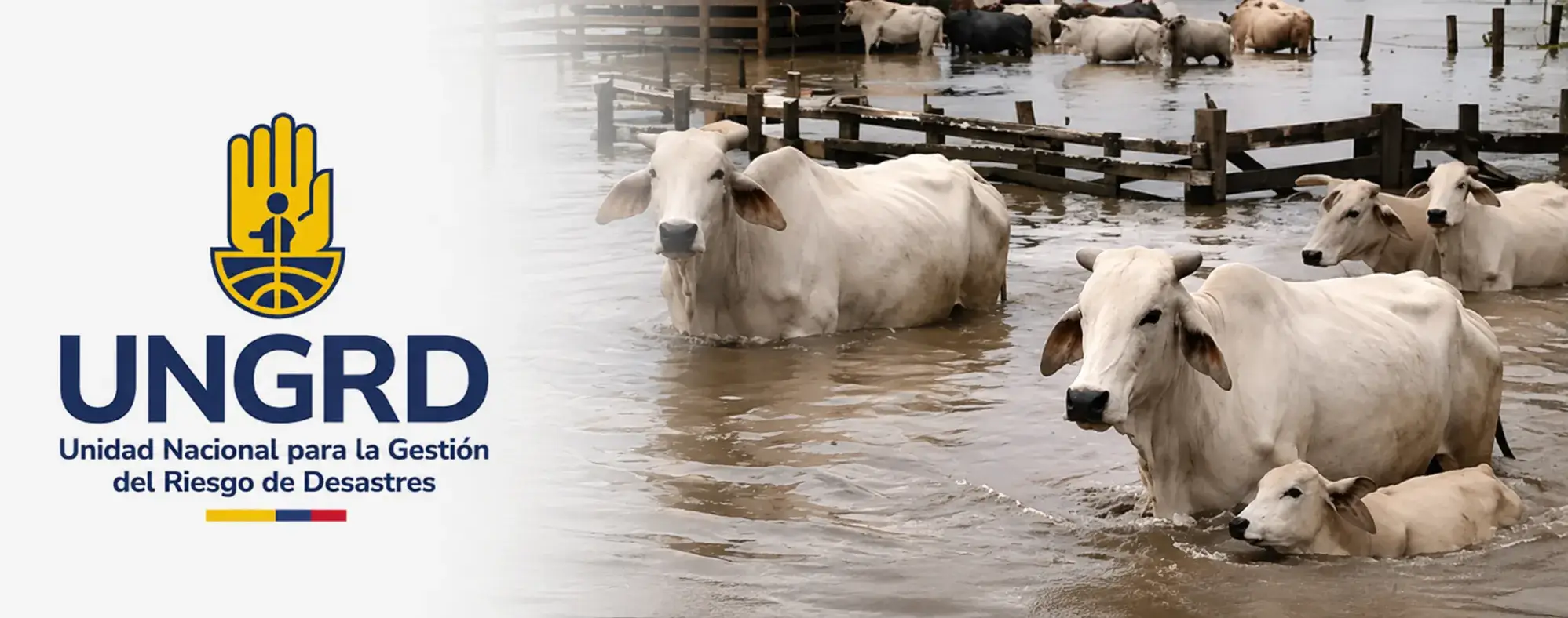 Gestión del riesgo y atención de animales en situaciones de emergencias