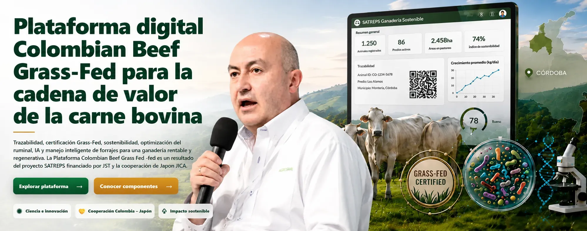 Beef Grass Fed