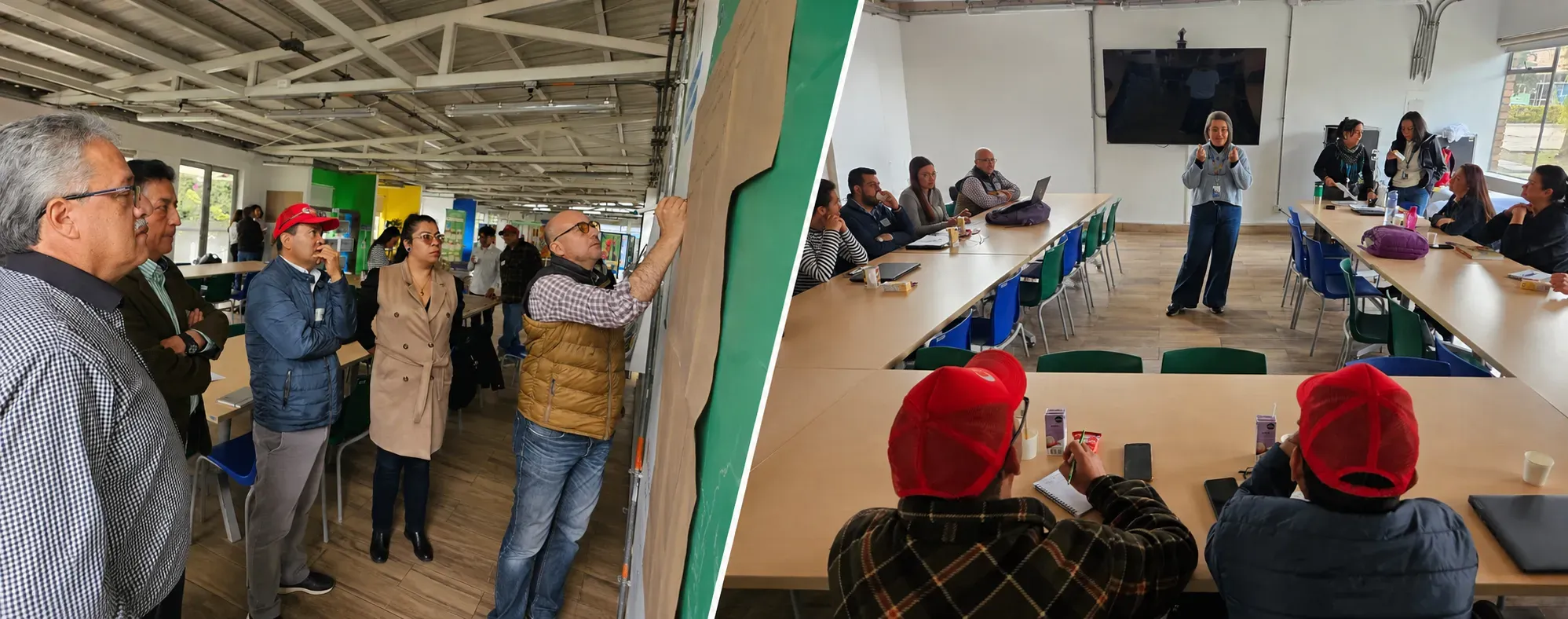 En que consiste el Plan Regional de Transferencia de Tecnologia