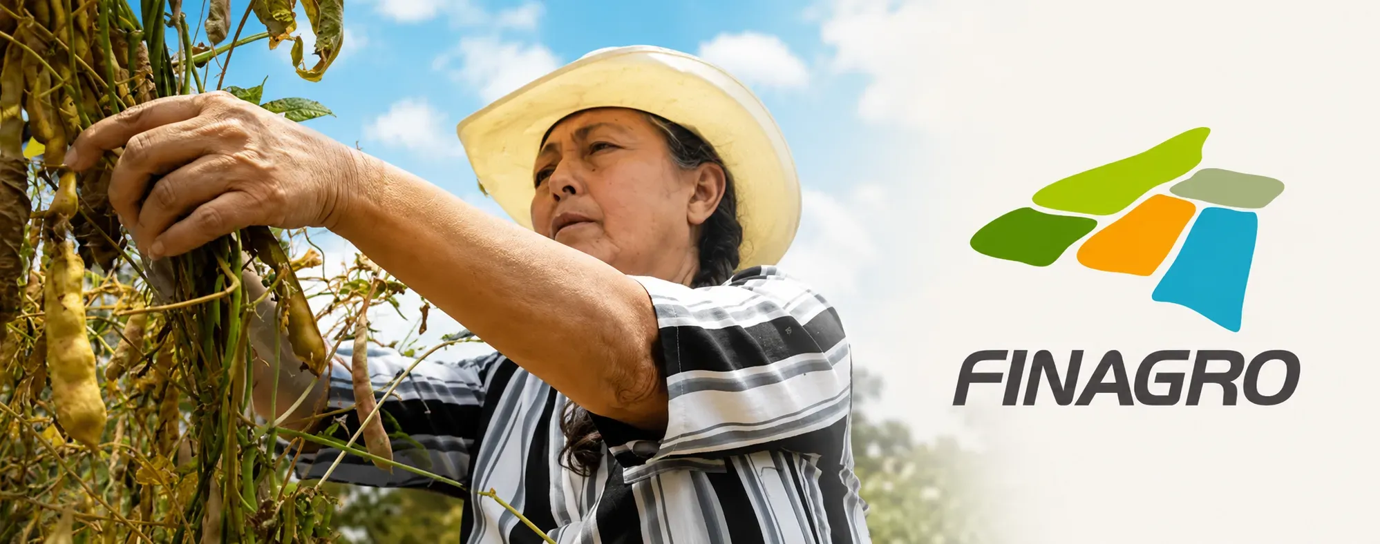 Finagro lanza instrumentos para preparar la finca y proteger proyectos productivos frente al fenómeno de El Niño
