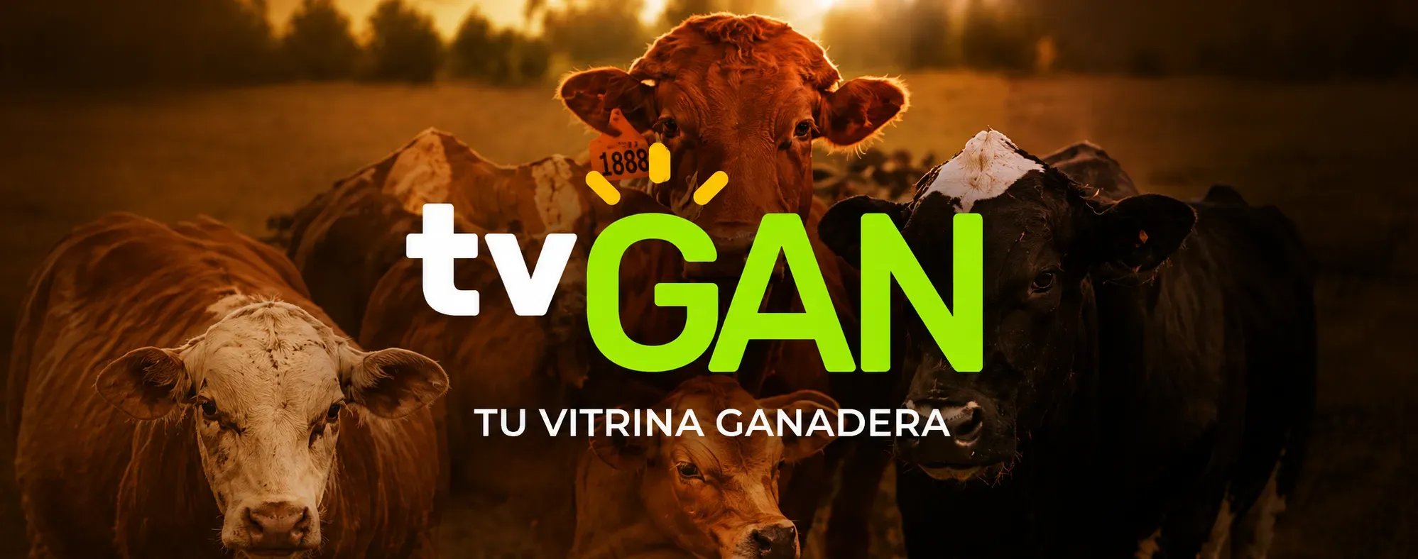 Lo que trae TVgan en el mes de julio