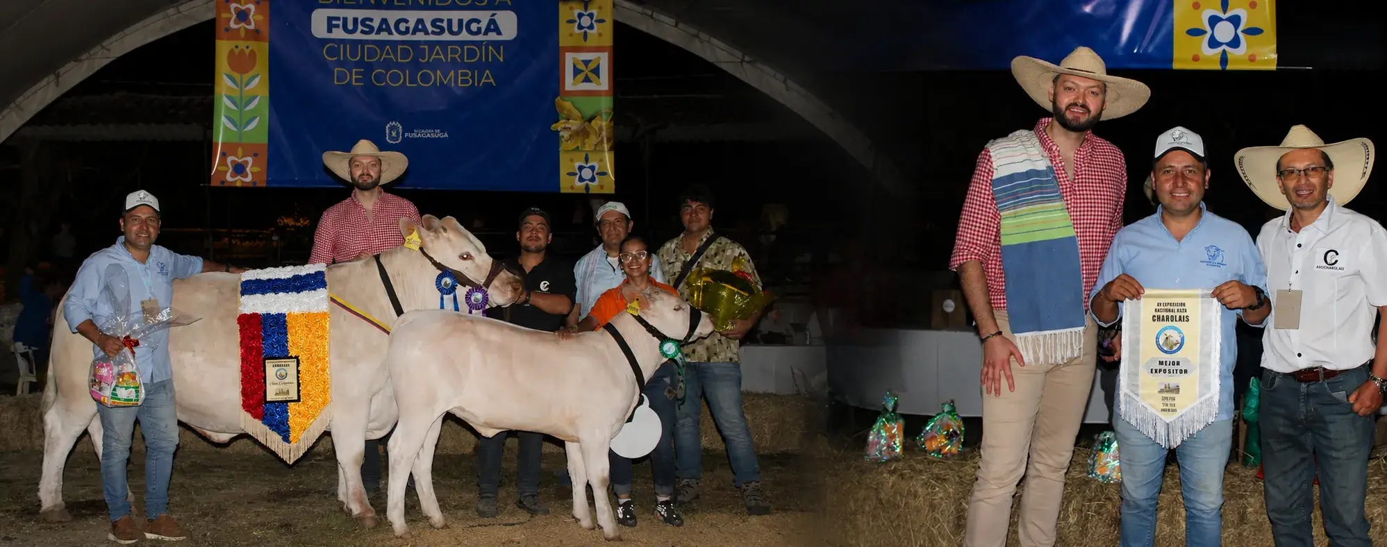 Este es el balance que hace asocharolais en su participación la durante la XV Exposición Nacional Charolais