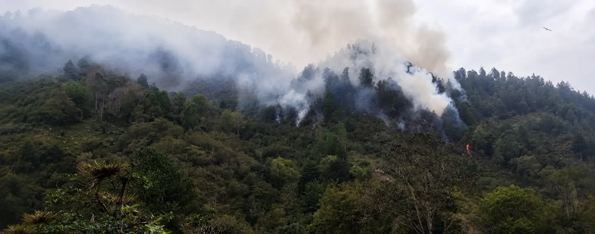 Incendio en Charta