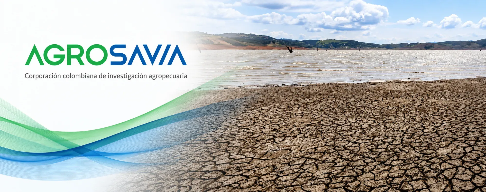 Agrosavia: No estamos preparados para el fenómeno de El Niño
