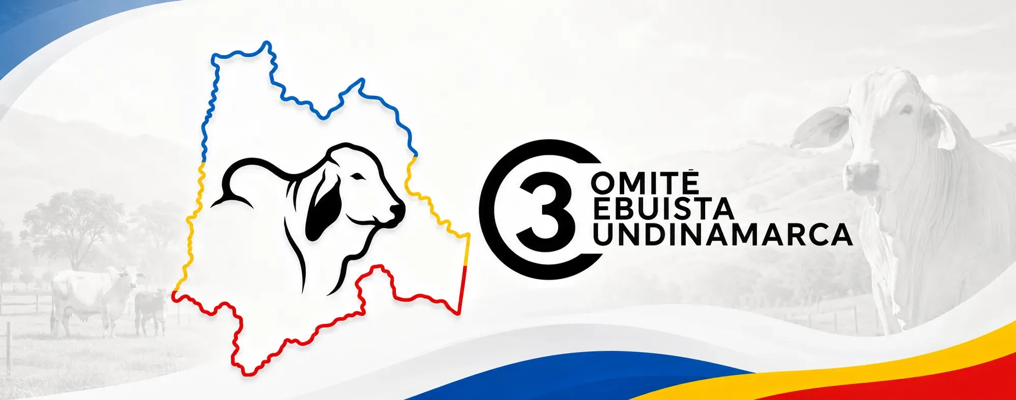Creación del Comité Cebuista de Cundinamarca