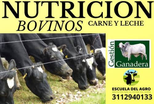 Seminario nutrición en bovinos de carne y leche, Nutrición en bovinos, seminario nutrición bovinos, congreso nutrición bovinos 2022, congreso nutrición y alimentación bovinos carne y leche, Eventos ganaderos enero 2022, ganado bovino, ganadería bovina, carne, leche, ganaderos, ganaderos colombia, ganado, vacas, vacas Colombia, bovinos, Ganadería, ganadería colombia, noticias ganaderas, noticias ganaderas colombia, CONtexto ganadero, contextoganadero