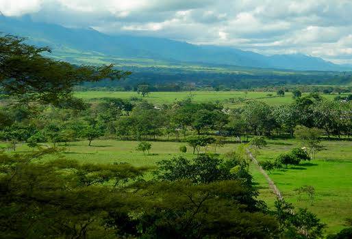 Zonas de Interés de Desarrollo Rural, Económico y Social