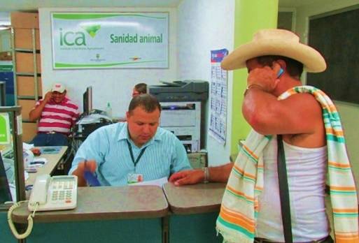 ICA, Guías de movilización, plan de contingencia, contrabando, fiebre aftosa, estatus sanitario, CONtexto ganadero, noticias ganaderas de Colombia 