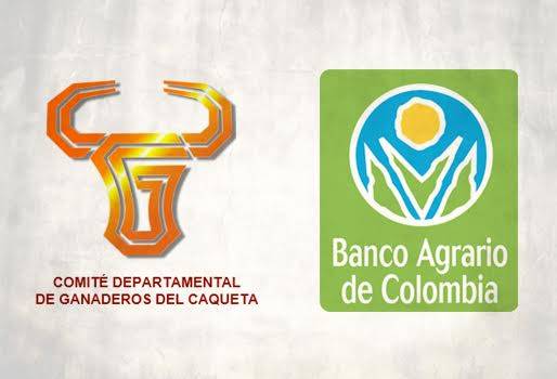 Comité de ganaderos del caquetá